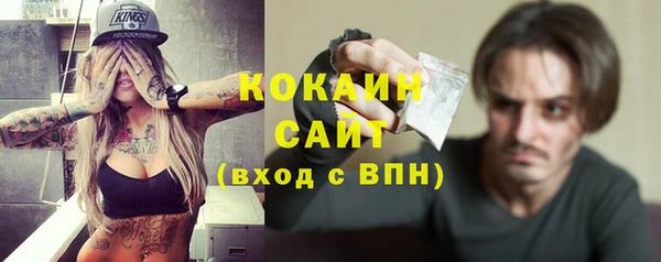 дживик Кулебаки